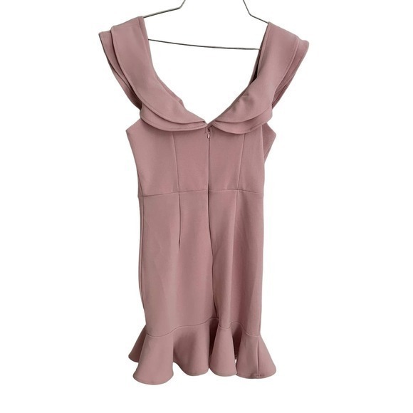 NWT‎ Hello Molly Carrying Your Love Dress in Blush Size Medium - Picture 5 of 6